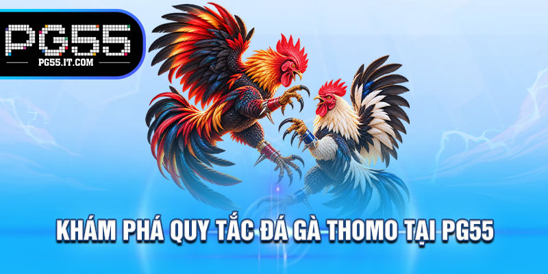 Khám Phá Quy Tắc Đá Gà Thomo Tại PG55